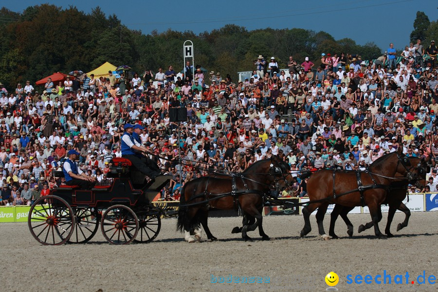 Hengstparade-Marbach-2011-011011-Bodensee-Community-SEECHAT_DE-IMG_1114.JPG