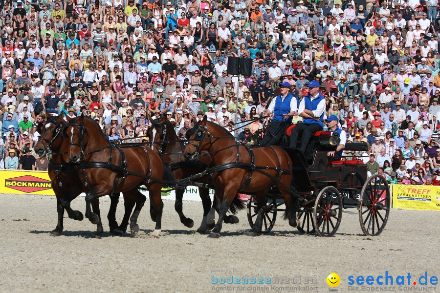 Hengstparade-Marbach-2011-011011-Bodensee-Community-SEECHAT_DE-IMG_1115.JPG