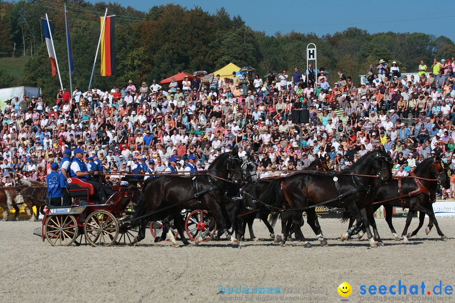 Hengstparade-Marbach-2011-011011-Bodensee-Community-SEECHAT_DE-IMG_1120.JPG