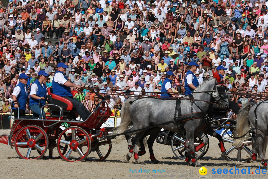 Hengstparade-Marbach-2011-011011-Bodensee-Community-SEECHAT_DE-IMG_1121.JPG