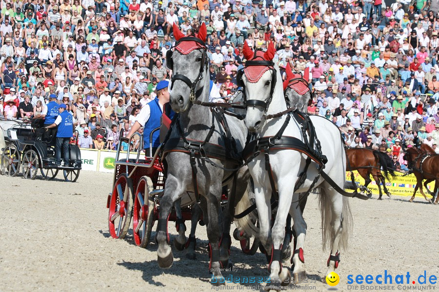 Hengstparade-Marbach-2011-011011-Bodensee-Community-SEECHAT_DE-IMG_1123.JPG