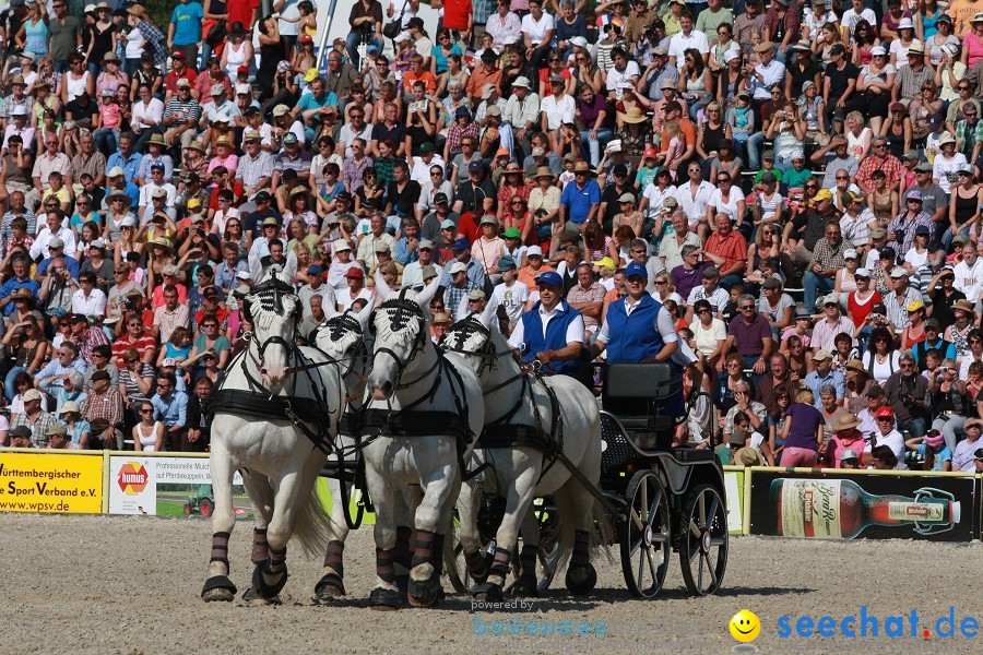 Hengstparade-Marbach-2011-011011-Bodensee-Community-SEECHAT_DE-IMG_1124.JPG