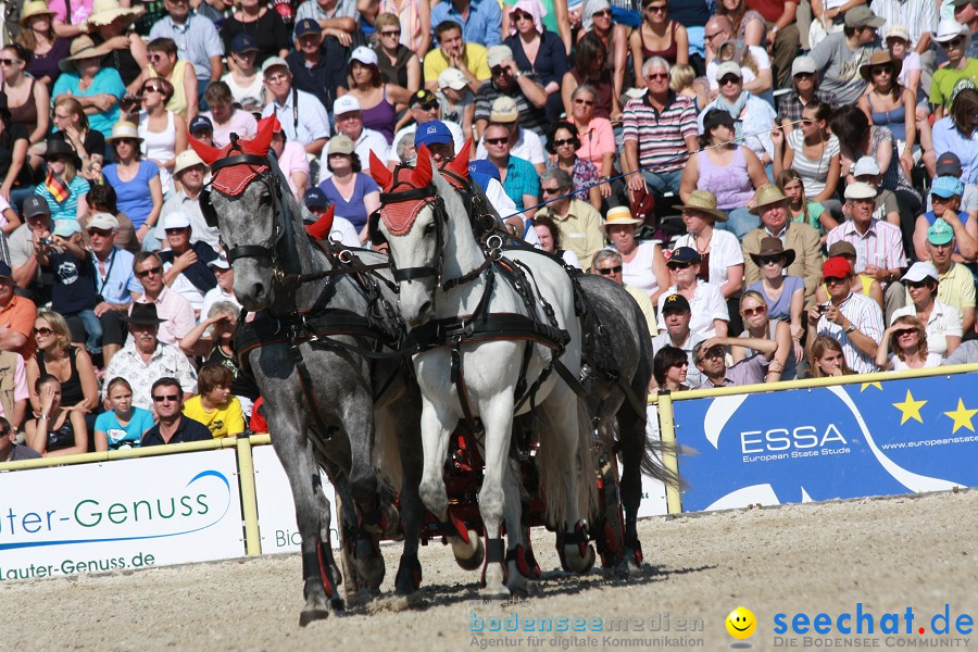 Hengstparade-Marbach-2011-011011-Bodensee-Community-SEECHAT_DE-IMG_1143.JPG