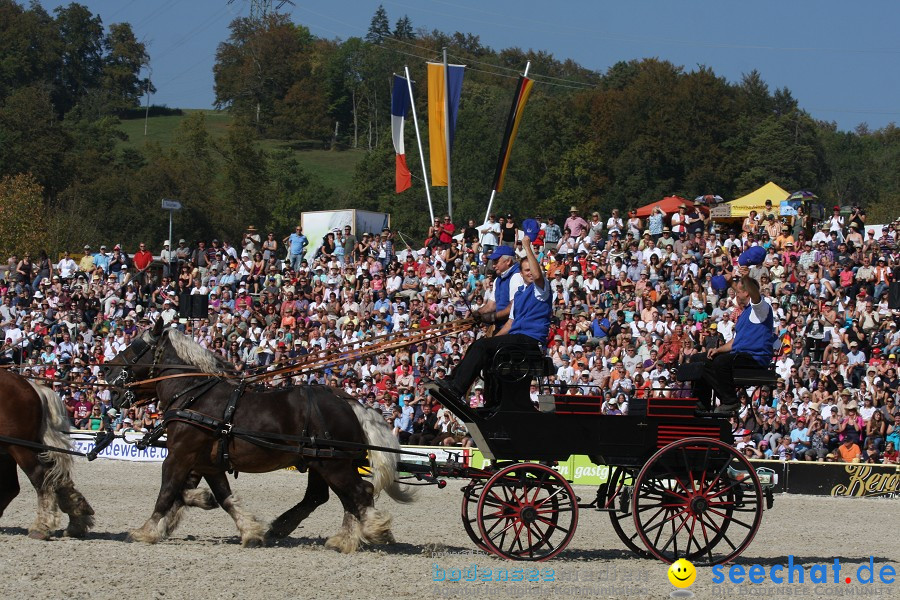 Hengstparade-Marbach-2011-011011-Bodensee-Community-SEECHAT_DE-IMG_1214.JPG