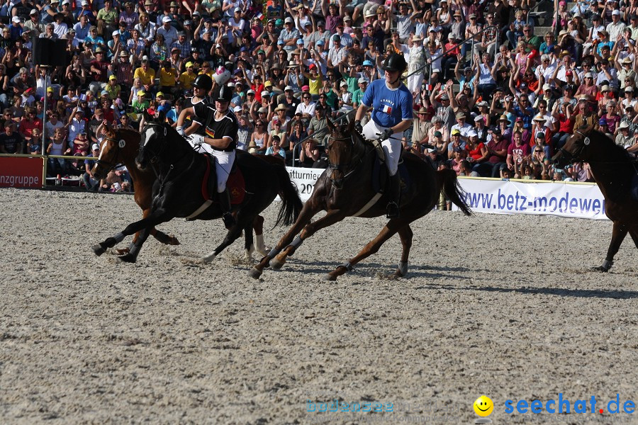 Hengstparade-Marbach-2011-011011-Bodensee-Community-SEECHAT_DE-IMG_1765.JPG