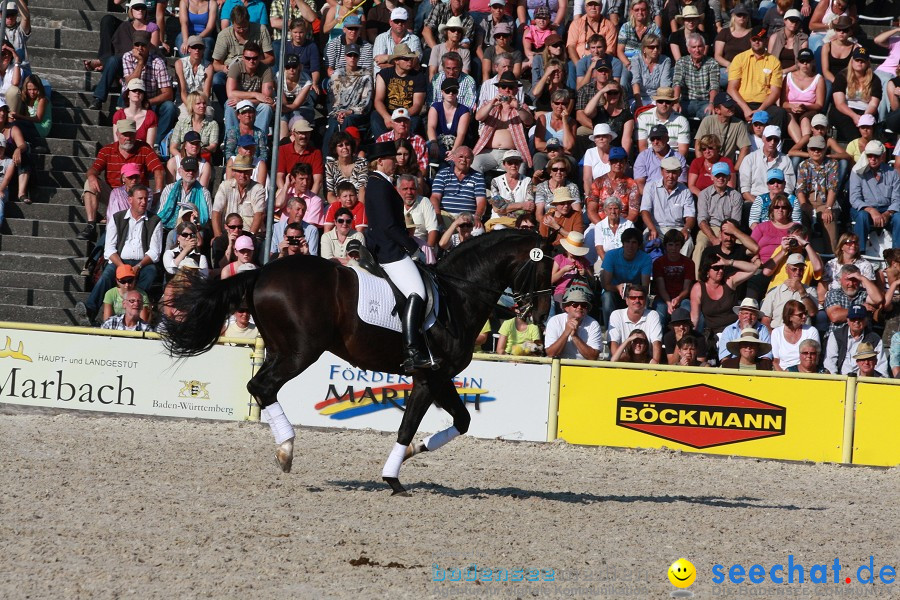 Hengstparade-Marbach-2011-011011-Bodensee-Community-SEECHAT_DE-IMG_1795.JPG