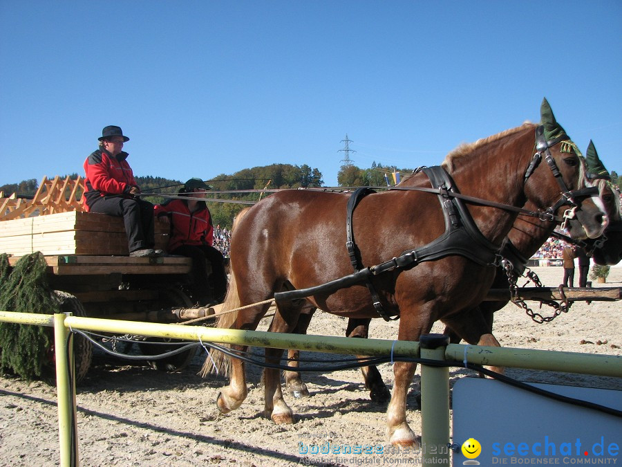 Hengstparade-Marbach-2011-03011-Bodensee-Community-SEECHAT_DE-_47.JPG
