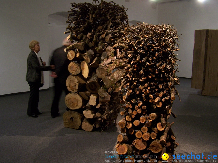 Vernissage-Braeg-Bad-Schussenried-171111-Bodensee-Community-SEECHAT-DE_67.JPG