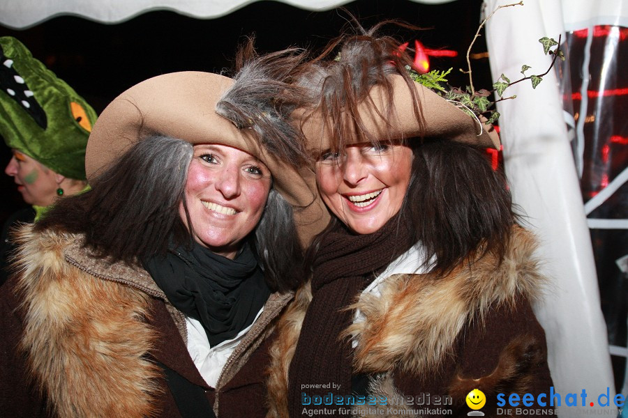 Narrenumzug - Grosses Narrentreffen in Konstanz am Bodensee, 22.01.2012