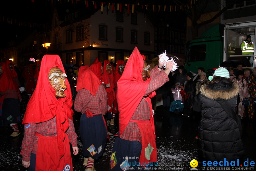 Fasnet Nachtumzug: Rielasingen am Bodensee, 27.01.2012