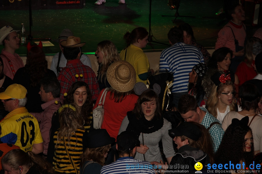 Narrentreffen: Rielasingen am Bodensee, 28.01.2012