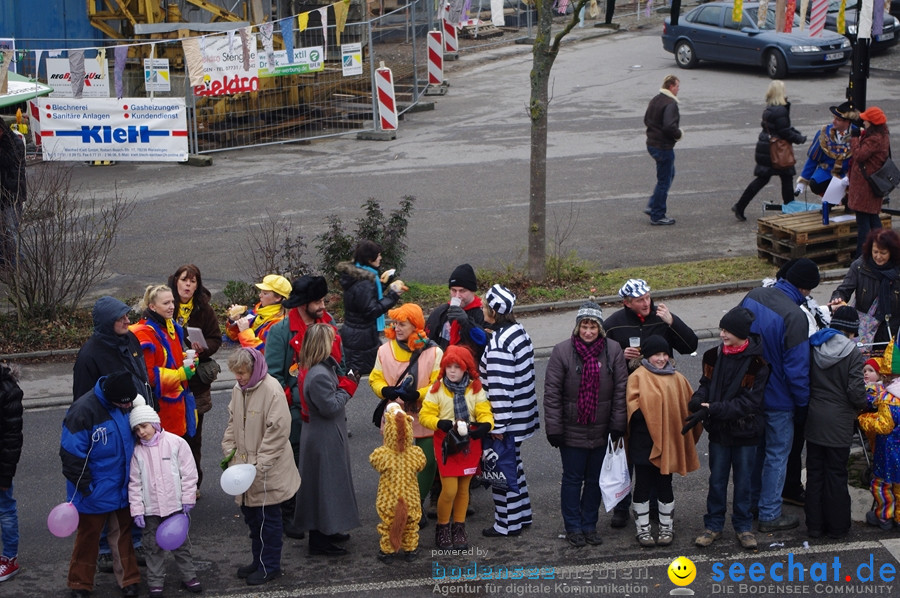 Narrentreffen: Rielasingen am Bodensee, 29.01.2012