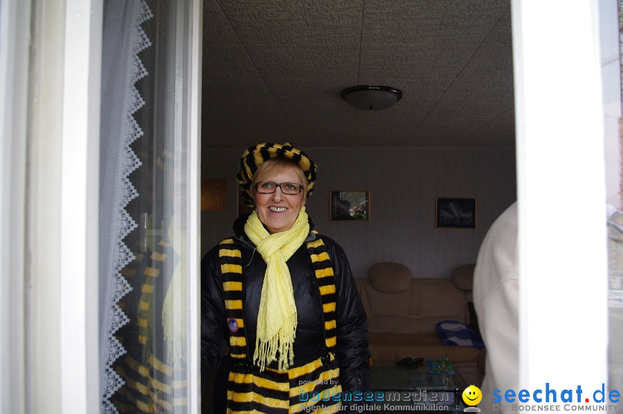 Narrentreffen: Rielasingen am Bodensee, 29.01.2012