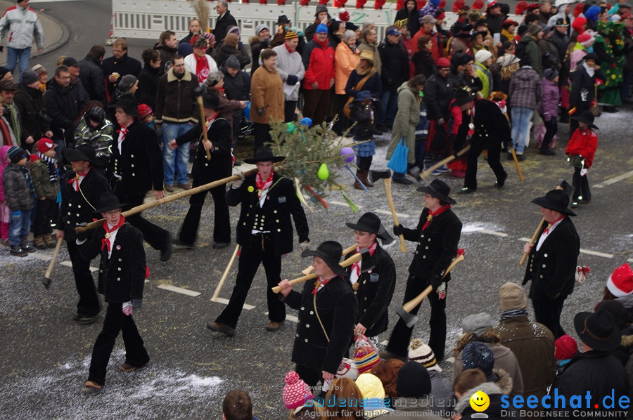 Narrentreffen: Rielasingen am Bodensee, 29.01.2012