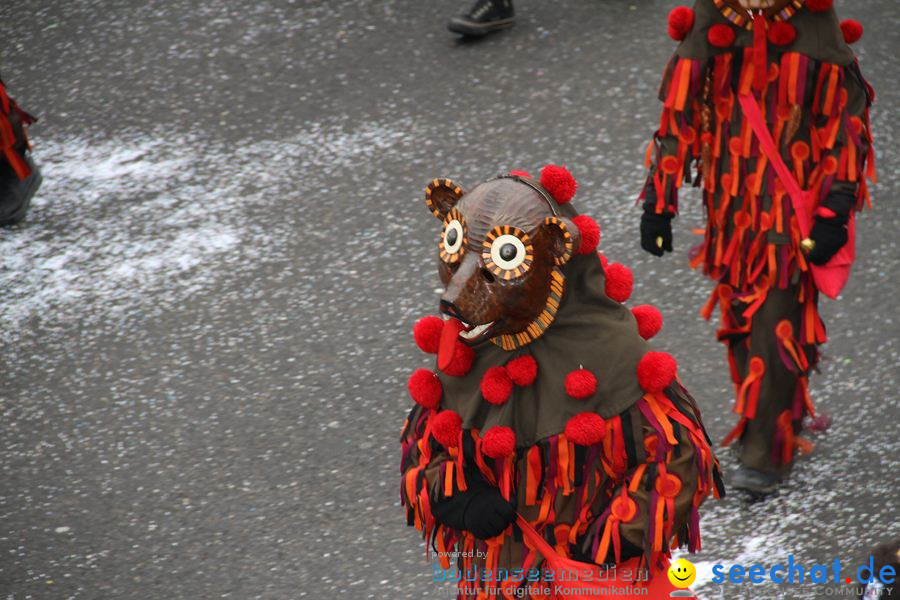 Narrentreffen: Rielasingen am Bodensee, 29.01.2012