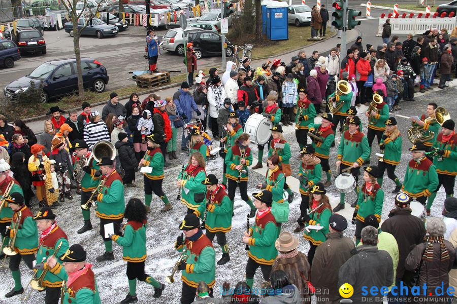Narrentreffen: Rielasingen am Bodensee, 29.01.2012