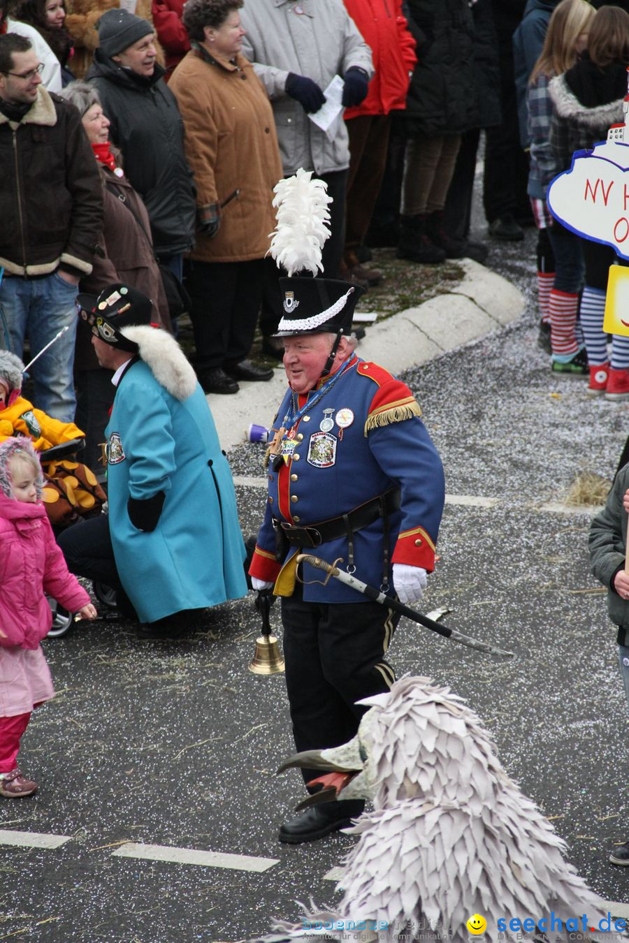 Narrentreffen: Rielasingen am Bodensee, 29.01.2012
