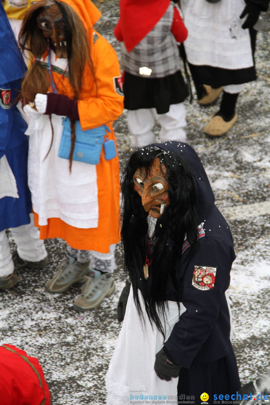 Narrentreffen: Rielasingen am Bodensee, 29.01.2012