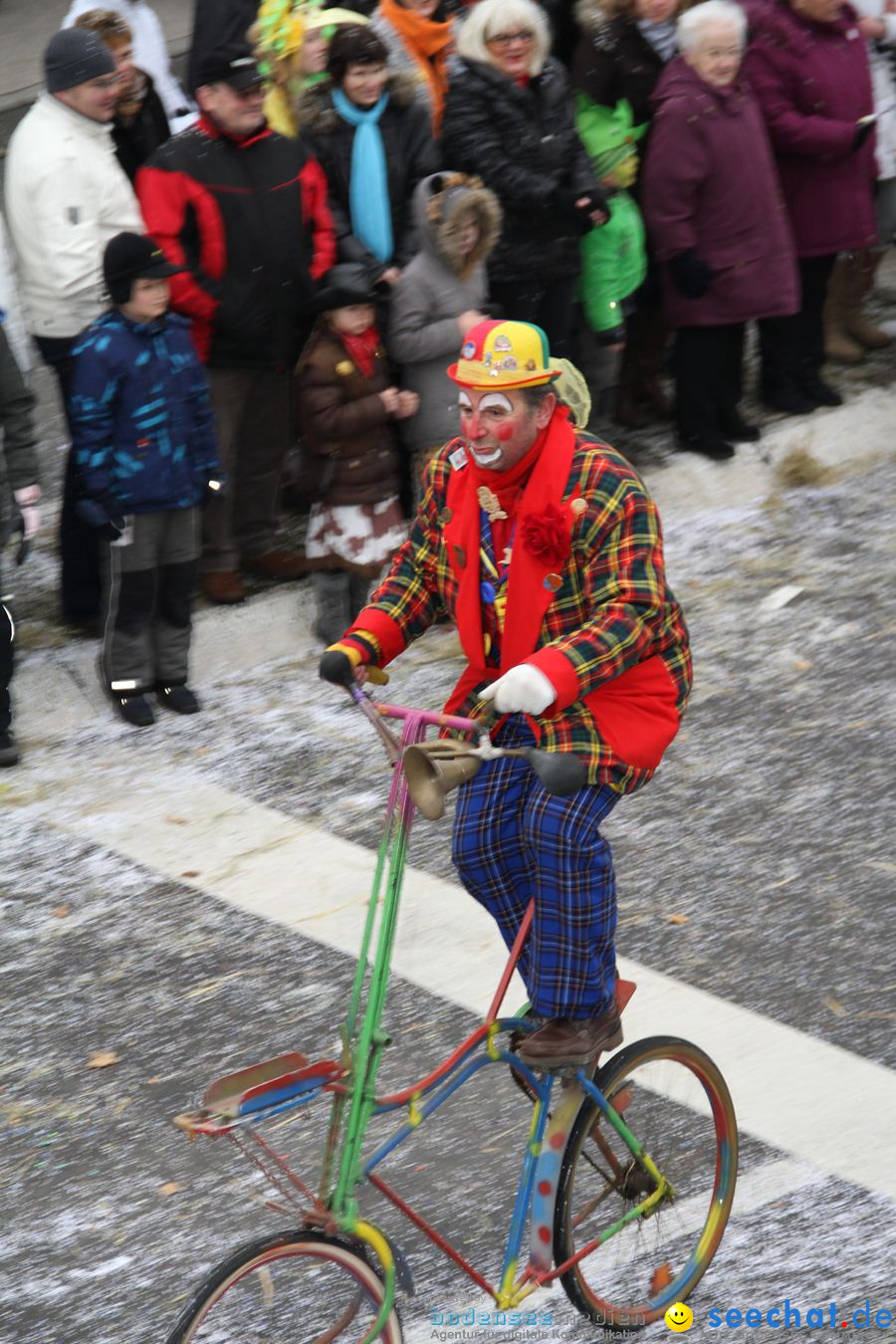 Narrentreffen: Rielasingen am Bodensee, 29.01.2012