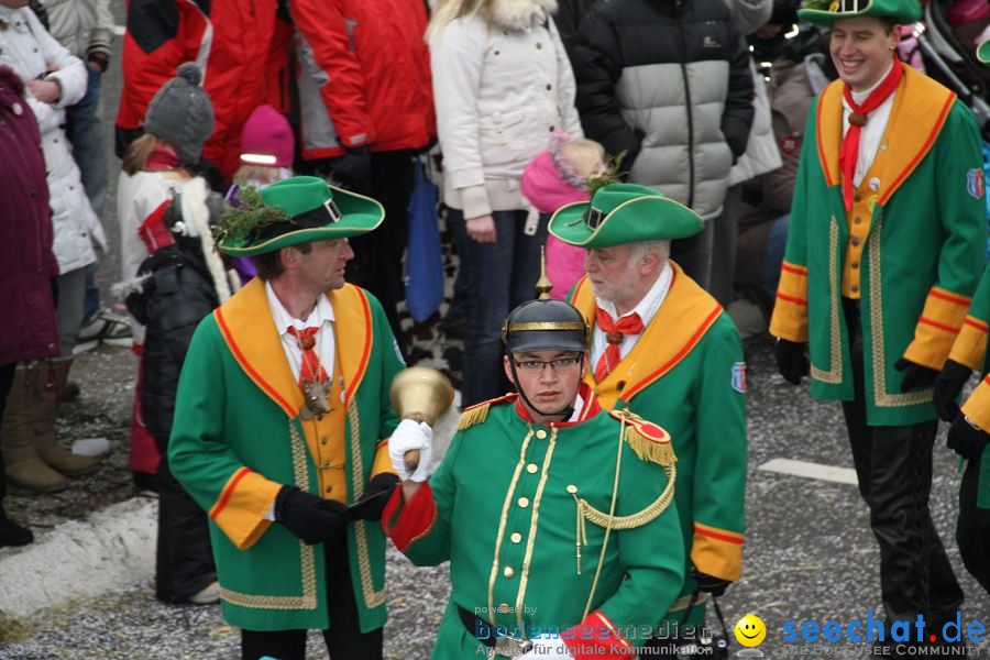 Narrentreffen: Rielasingen am Bodensee, 29.01.2012