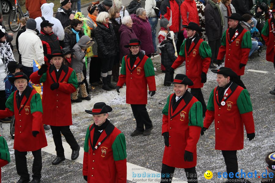 Narrentreffen: Rielasingen am Bodensee, 29.01.2012