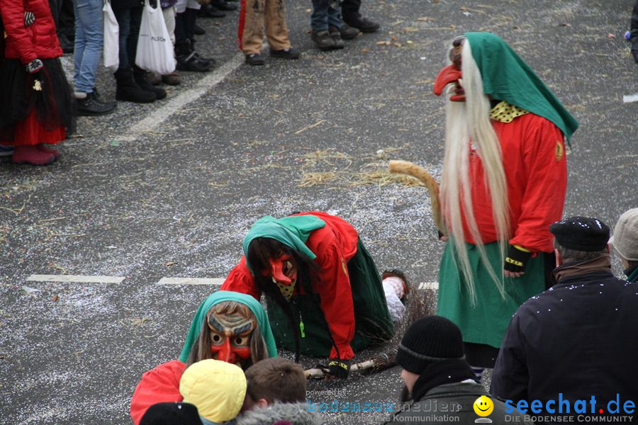 Narrentreffen: Rielasingen am Bodensee, 29.01.2012