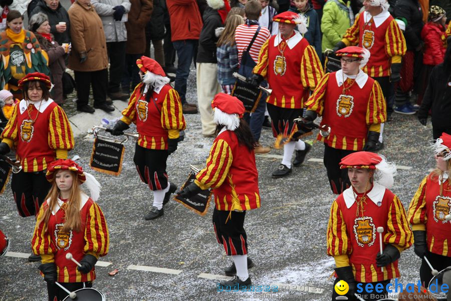 Narrentreffen: Rielasingen am Bodensee, 29.01.2012