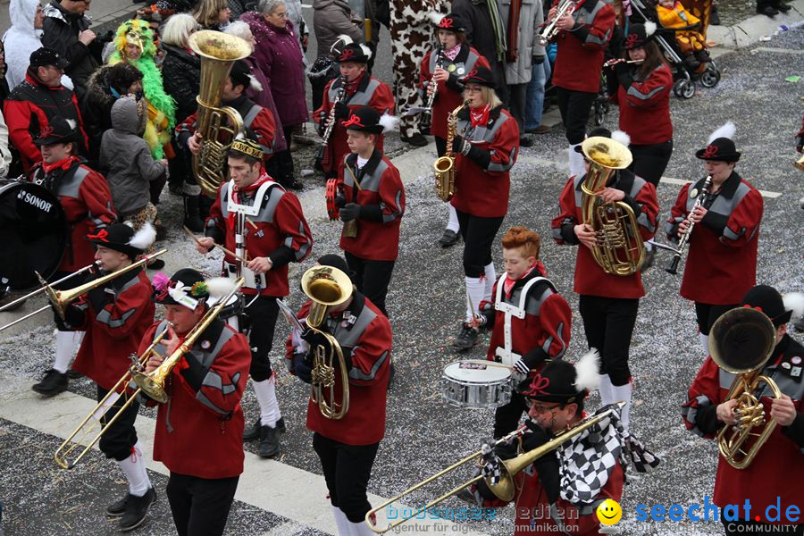 Narrentreffen: Rielasingen am Bodensee, 29.01.2012
