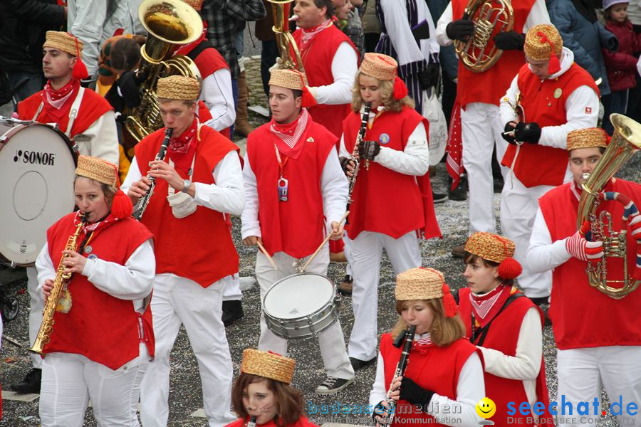 Narrentreffen: Rielasingen am Bodensee, 29.01.2012