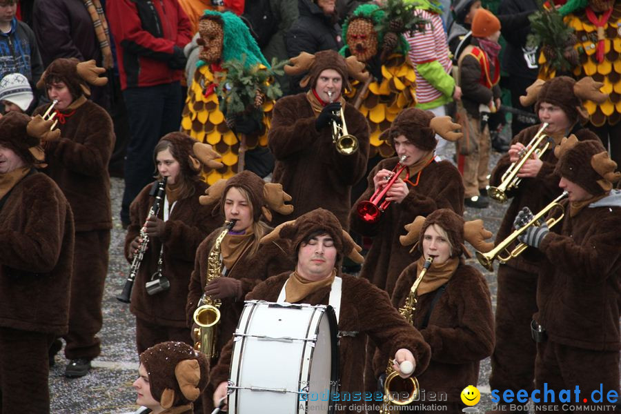 Narrentreffen: Rielasingen am Bodensee, 29.01.2012