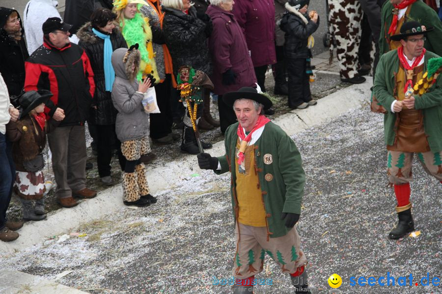 Narrentreffen: Rielasingen am Bodensee, 29.01.2012