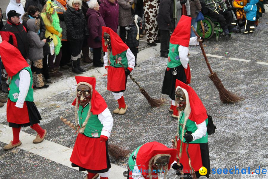 Narrentreffen: Rielasingen am Bodensee, 29.01.2012