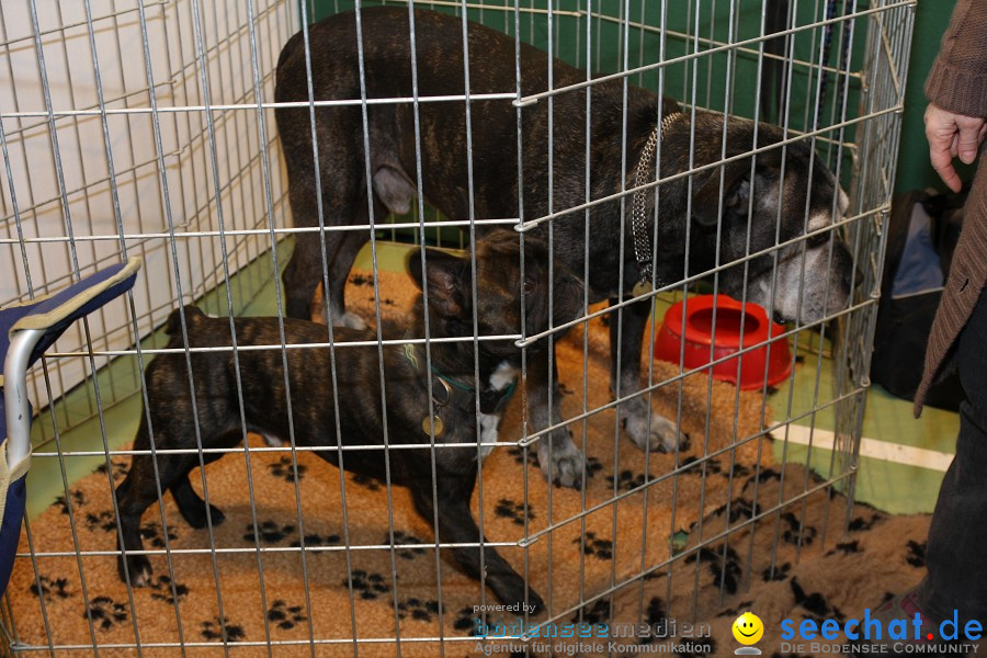 HUND|2012 - Die Schweizer Hundefachmesse in Winterthur, 05.02.2012