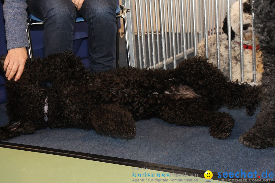 HUND|2012 - Die Schweizer Hundefachmesse in Winterthur, 05.02.2012