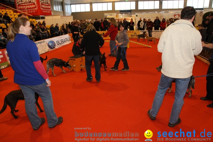 HUND|2012 - Die Schweizer Hundefachmesse in Winterthur, 05.02.2012
