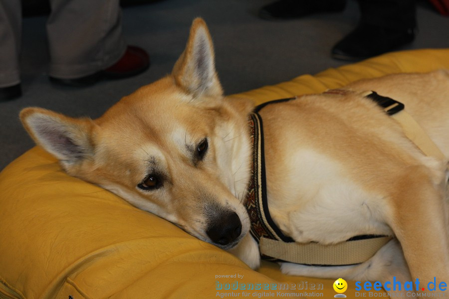 HUND|2012 - Die Schweizer Hundefachmesse in Winterthur, 05.02.2012