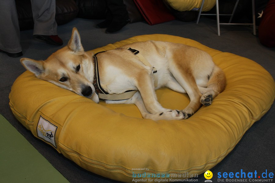 HUND|2012 - Die Schweizer Hundefachmesse in Winterthur, 05.02.2012