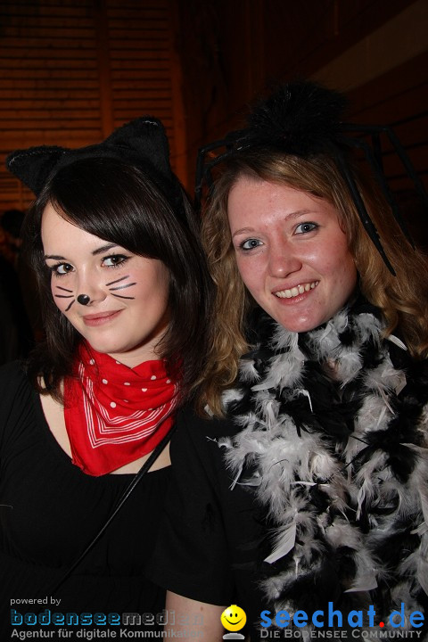 Stierball 2009