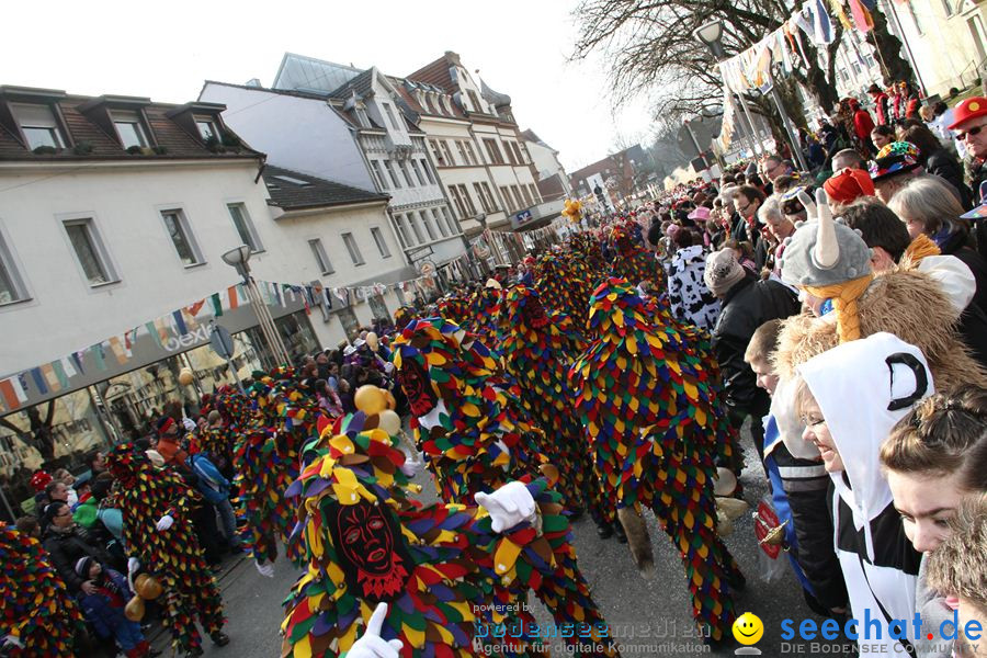 Kinderumzug - Fasnetsumzug: Singen am Bodensee, 18.02.2012