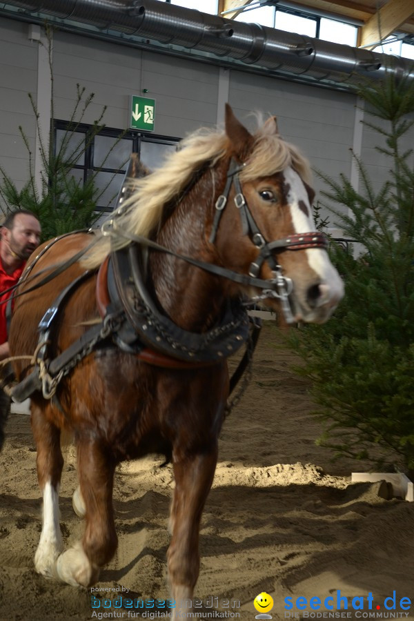 PFERD Bodensee - Messe: Friedrichshafen am Bodensee, 12.02.2012