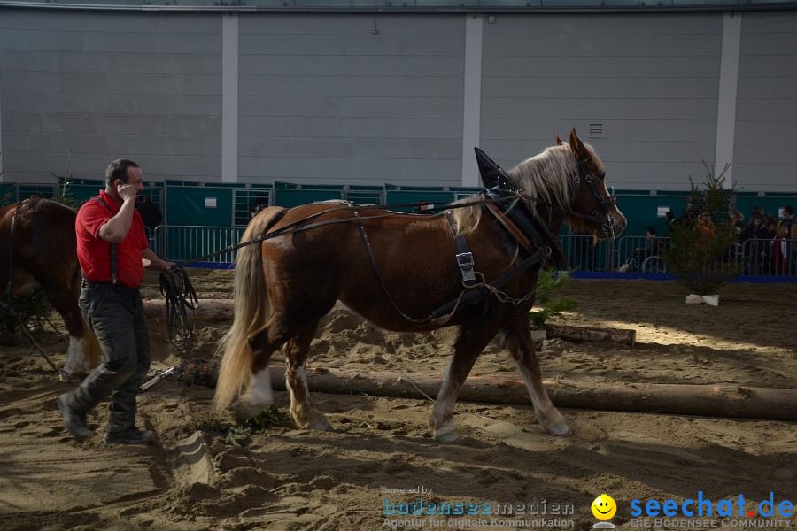 PFERD Bodensee - Messe: Friedrichshafen am Bodensee, 12.02.2012