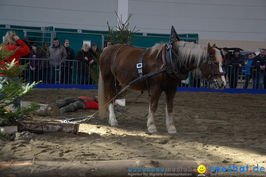 PFERD Bodensee - Messe: Friedrichshafen am Bodensee, 12.02.2012