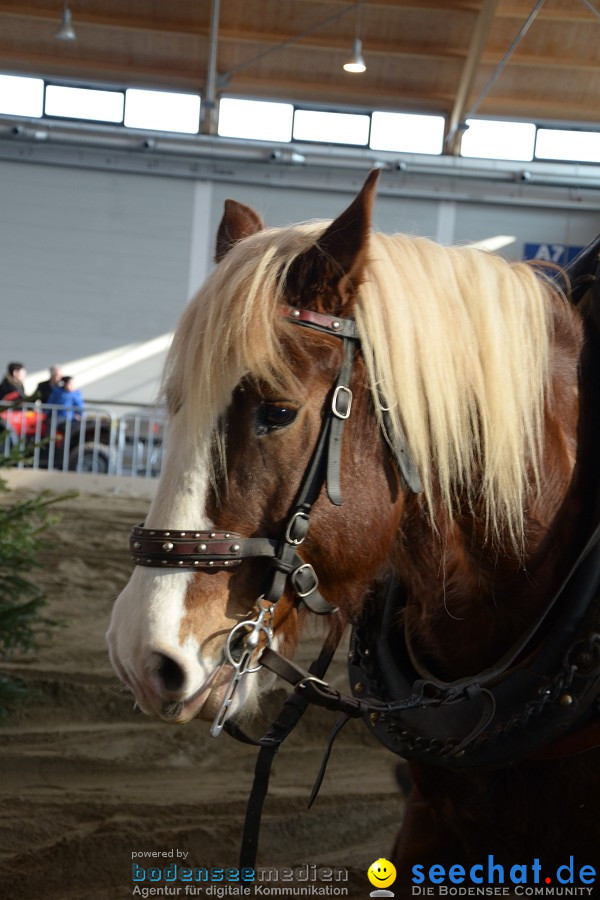 PFERD Bodensee - Messe: Friedrichshafen am Bodensee, 12.02.2012