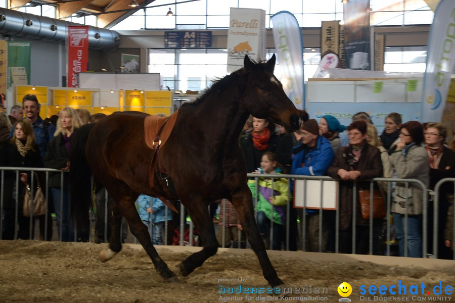 PFERD Bodensee - Messe: Friedrichshafen am Bodensee, 12.02.2012