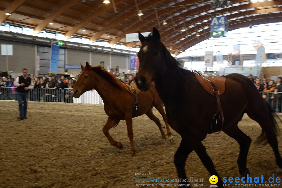 PFERD Bodensee - Messe: Friedrichshafen am Bodensee, 12.02.2012
