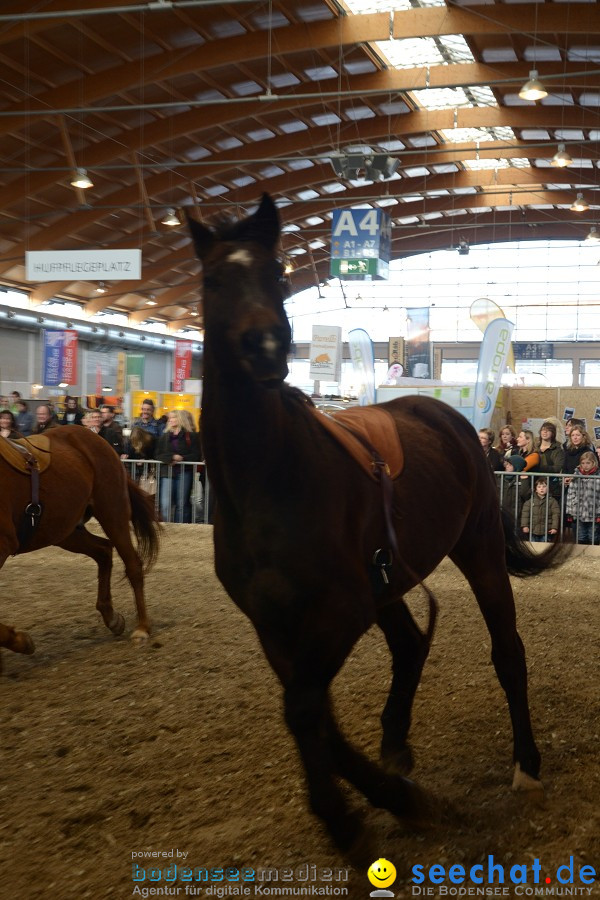PFERD Bodensee - Messe: Friedrichshafen am Bodensee, 12.02.2012