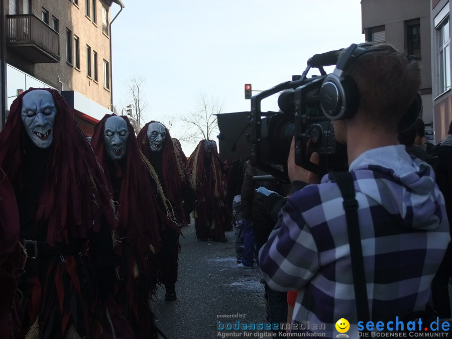 Fasnachtsumzug: Friedrichshafen am Bodensee, 18.02.2012