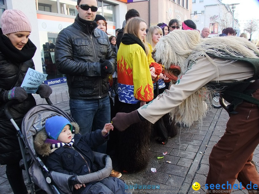Fasnachtsumzug: Friedrichshafen am Bodensee, 18.02.2012