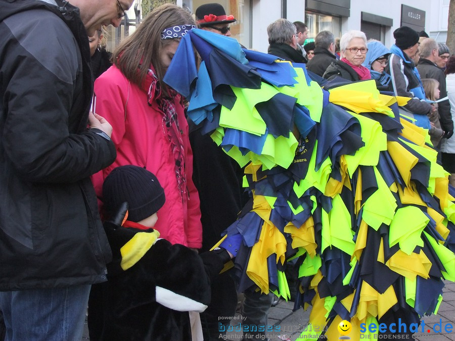 Fasnachtsumzug: Friedrichshafen am Bodensee, 18.02.2012