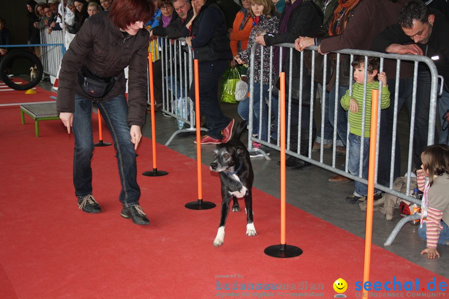 Hundemesse 2012: Oberschwabenhalle: Ravensburg, 25.02.2012